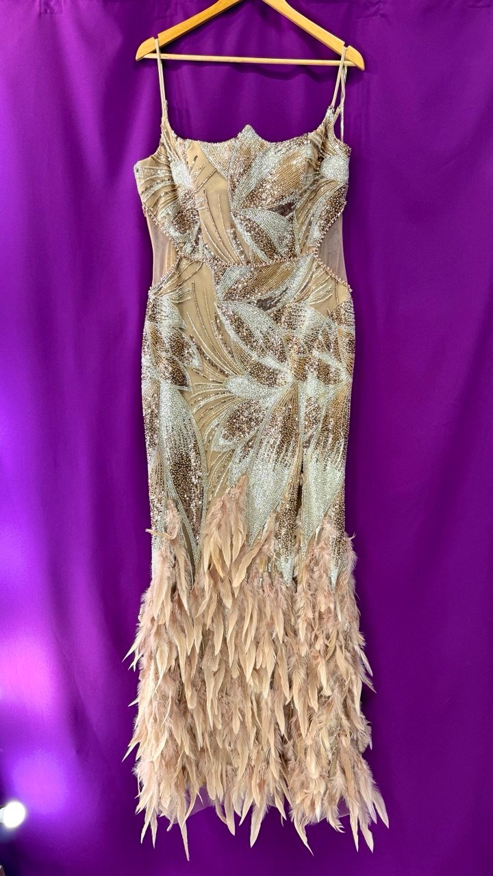 золота сукня з пірʼям