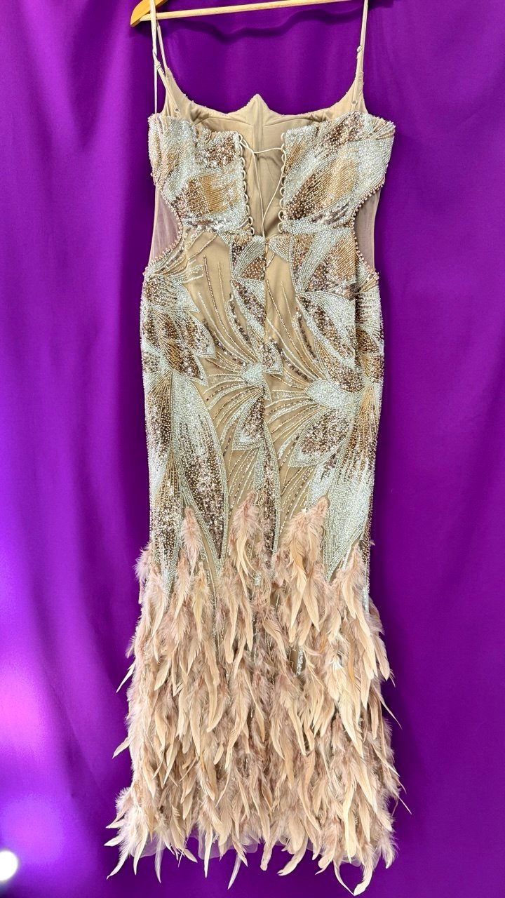 золота сукня з пірʼям